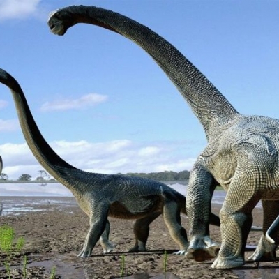 Neuquén: encontraron restos fósiles de un Titanosaurio de 85 millones de años