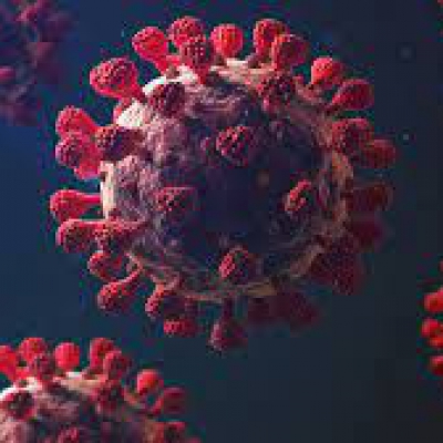 La Rioja reporta 37 nuevos positivos y un deceso por coronavirus