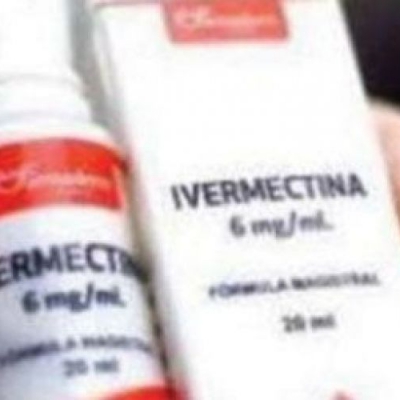 Comenzó el estudio para dar tratamiento al dengue