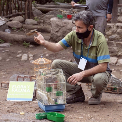 Municipalidad de La Rioja rescató y liberó más de 400 aves en el último año