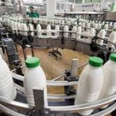 Las exportaciones de lácteos alcanzaron un récord de US$1.400 millones