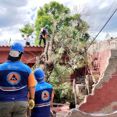 Intenso trabajo de Protección Ciudadana del Municipio tras el temporal