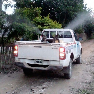 Dengue en Formosa: se detectaron más de 800 casos positivos en la última semana