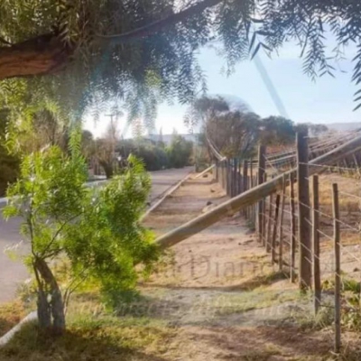 Fuertes vientos y caos en el Oeste riojano