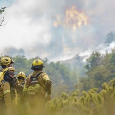 Incluirán en extraordinarias proyecto para agravar penas de quienes provoquen incendios