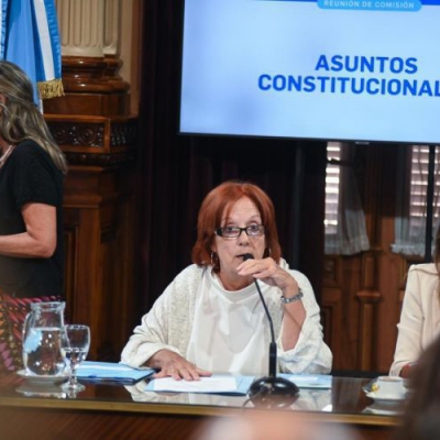El Senado le dio luz verde a la suspensión de las PASO y será llevado al recinto la próxima semana