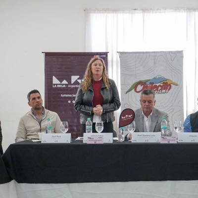 Pedrali participó del Consejo de Turismo y alertó sobre la difícil situación del sector