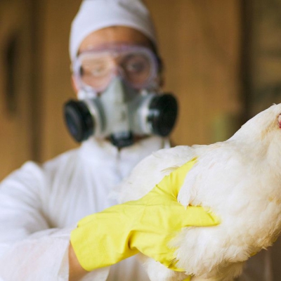 Fallece la primera persona del mundo infectada con una nueva cepa de gripe aviar