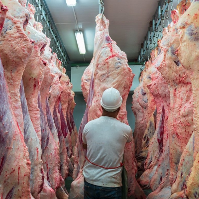 Avances para Argentina en la negociación para exportar carne vacuna a Japón