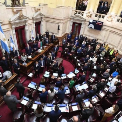 Junto al aumento, los senadores se agregaron un aguinaldo