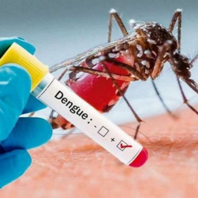 Salud sostuvo que no están confirmados los 4 presuntos casos de dengue